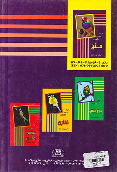 فنچ:خرید تغذیه نگهداری